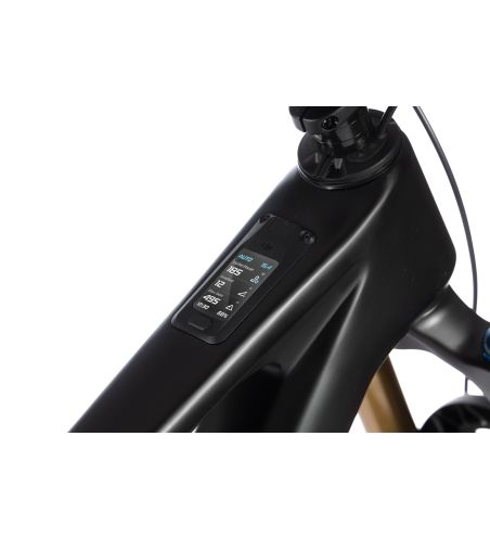 WHISTLE AXR C10.6 DJI Avinox Di2 800Wh