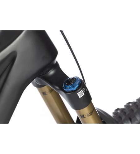 WHISTLE AXR C10.6 DJI Avinox Di2 800Wh