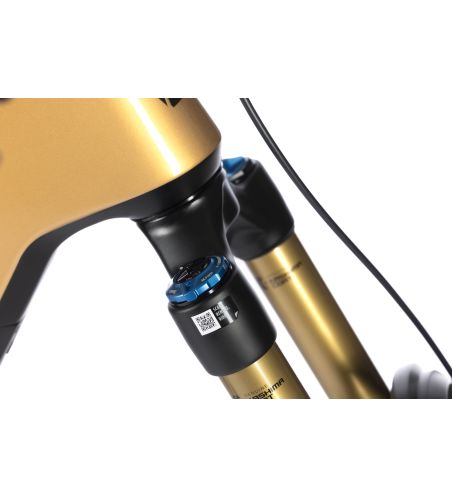 Bicicleta Electrica MTB Full Suspension WHISTLE B-Rush C13.6 RACE Full Carbon NEW Bosch CX Race 800Wh