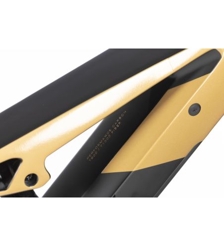 Bicicleta Electrica MTB Full Suspension WHISTLE B-Rush C13.6 RACE Full Carbon NEW Bosch CX Race 800Wh