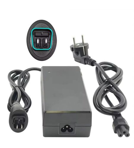 Incarcator 42V/2A Phylion Joycube BN21 CAN pentru Whistle O-Rush MY21